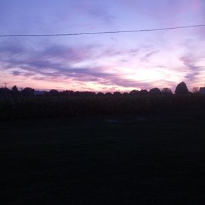 Meet your Posher, Jody